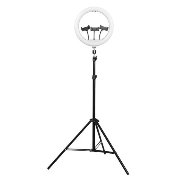 Aro de luz 12 pulgadas